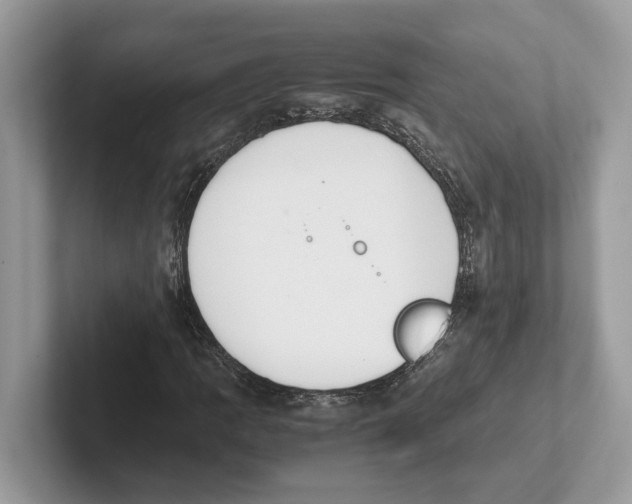 X0000100931109200807221131