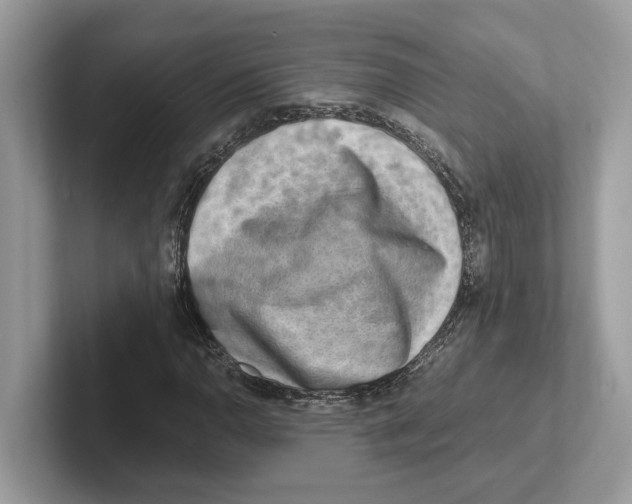 X0000100931110200807221131