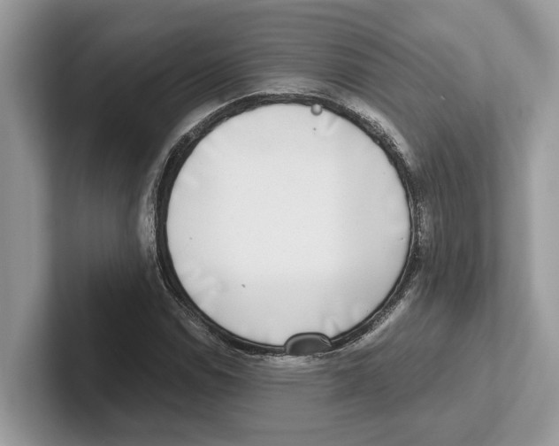 X0000100931114200807221131