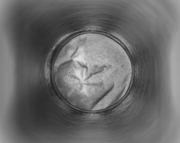 X0000100931115200807221131