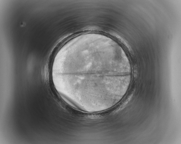 X0000100931117200807221131