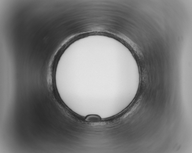 X0000100931118200807221131