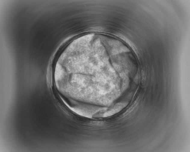 X0000100931123200807221131