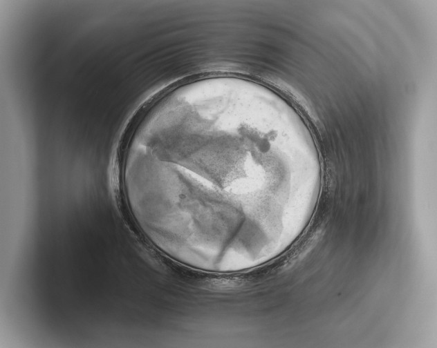 X0000100931125200807221131