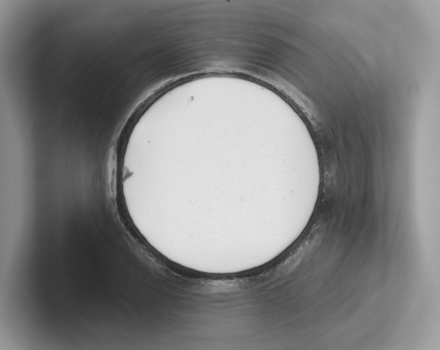 X0000100931126200807221131