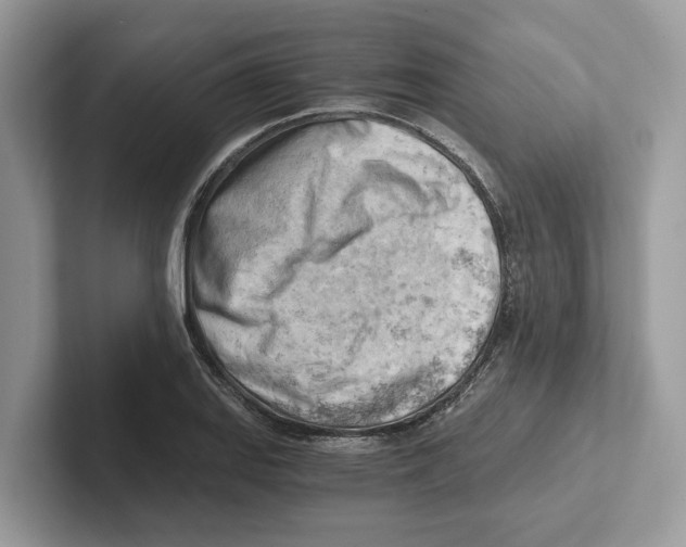 X0000100931127200807221131