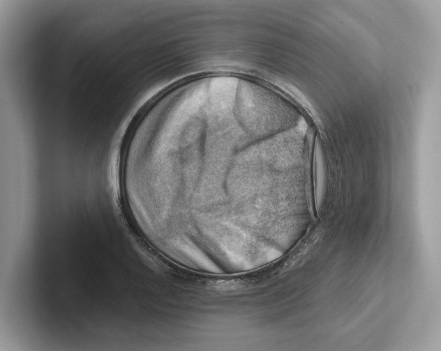 X0000100931128200807221131