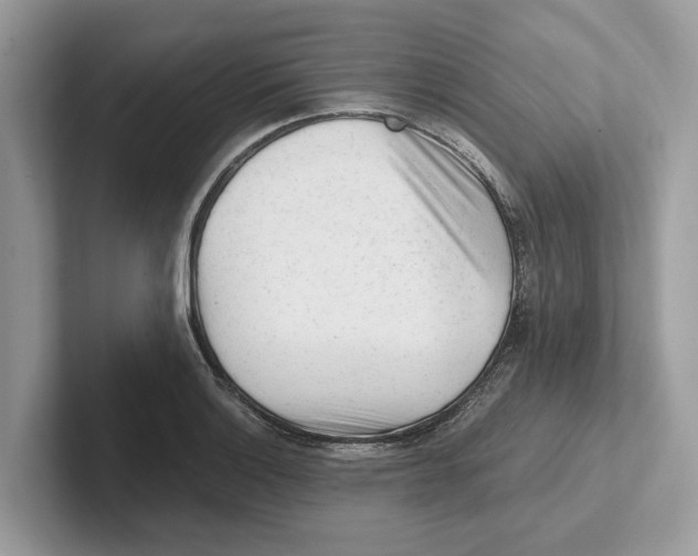 X0000100931132200807221131