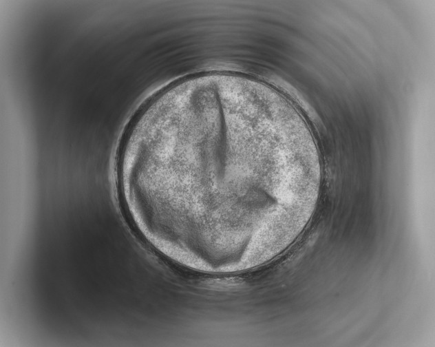 X0000100931133200807221131