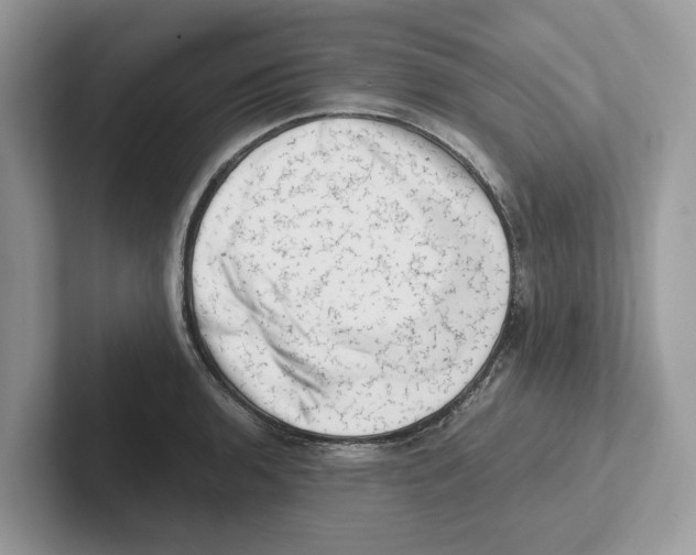 X0000100931136200807221131