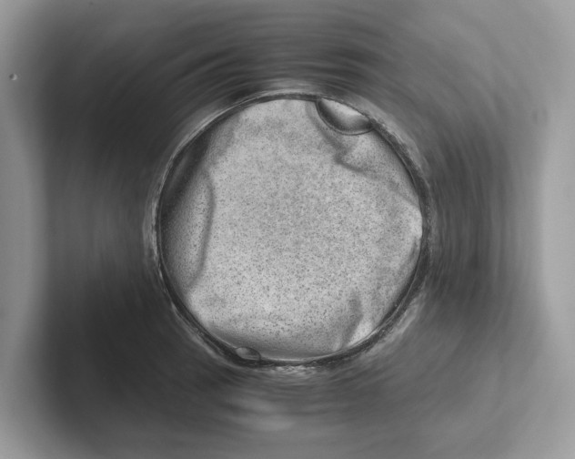 X0000100931137200807221131