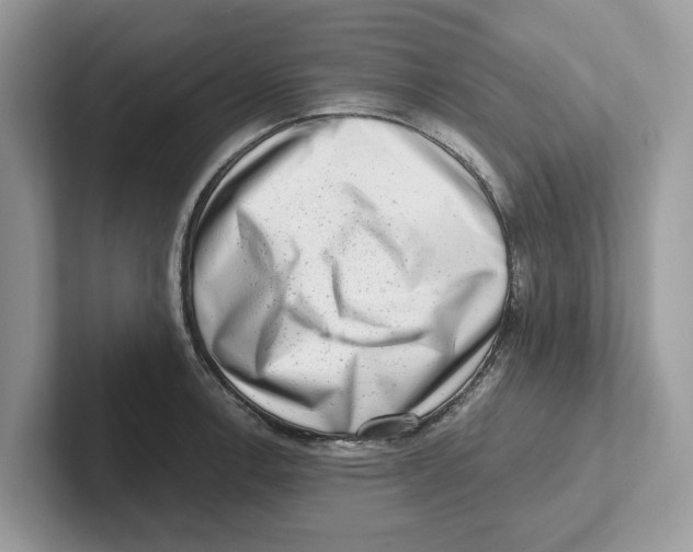 X0000100931138200807221131