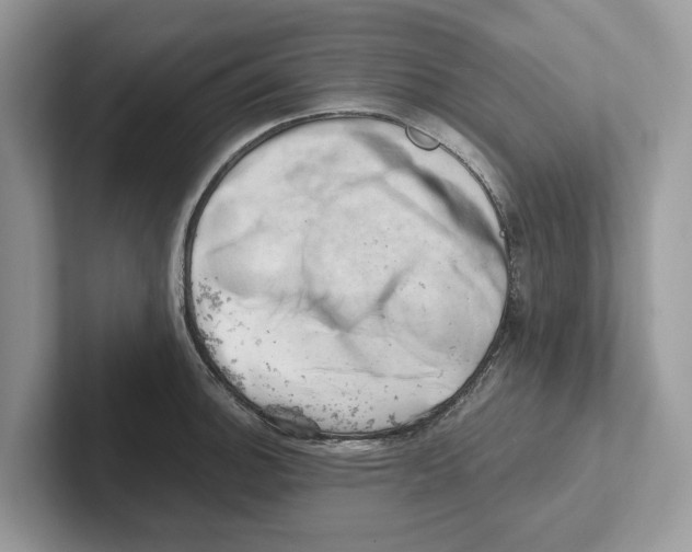 X0000100931140200807221131