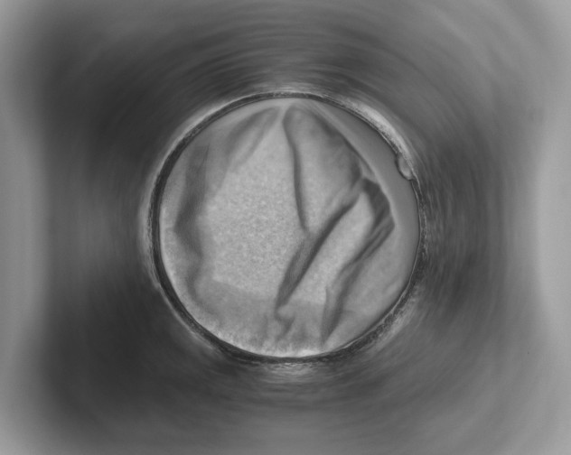 X0000100931141200807221131