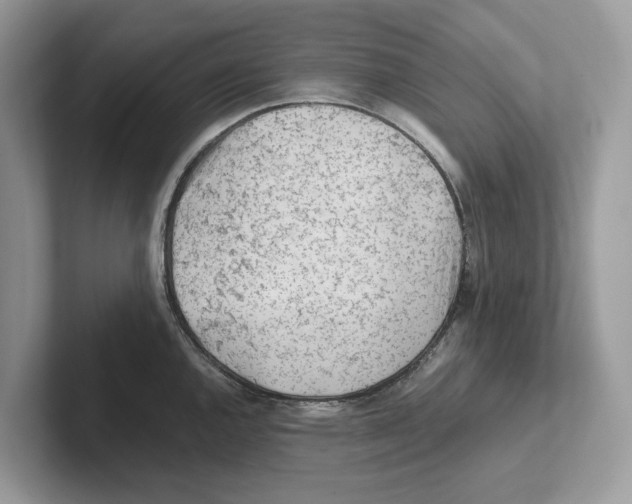 X0000100931144200807221131