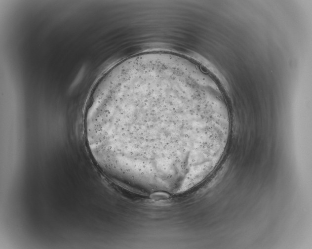 X0000100931145200807221131