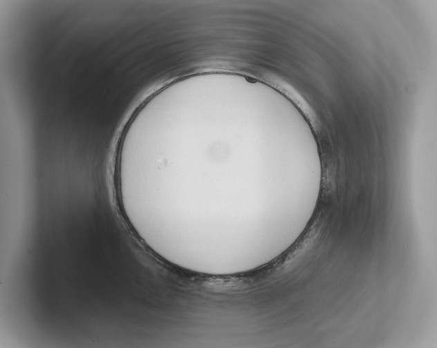 X0000100931146200807221131