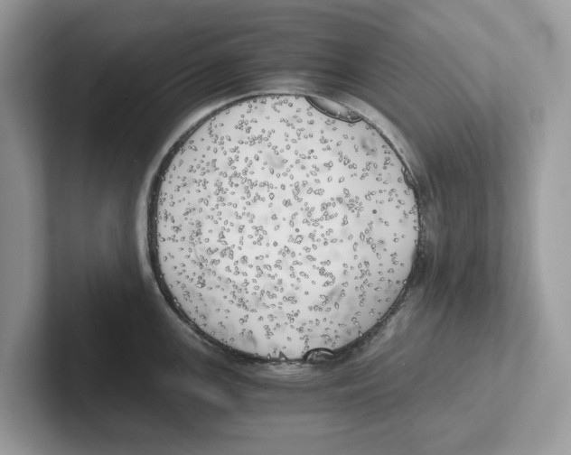 X0000100931147200807221132