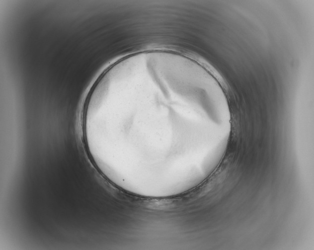 X0000100931148200807221132