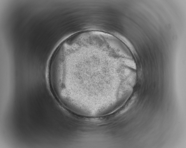 X0000100931149200807221132