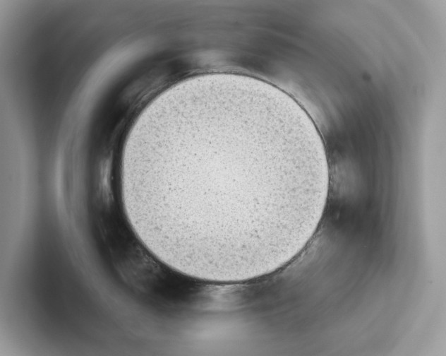 X0000100931150200807221132