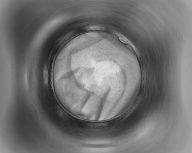 X0000100931151200807221132