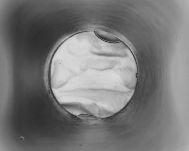 X0000100931152200807221132