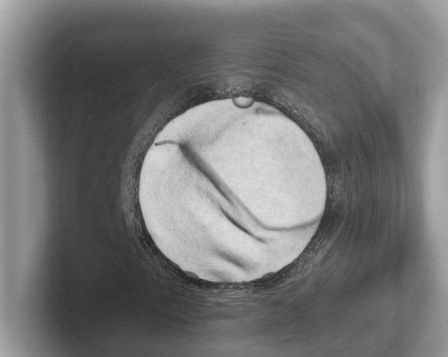 X0000100931153200807221131