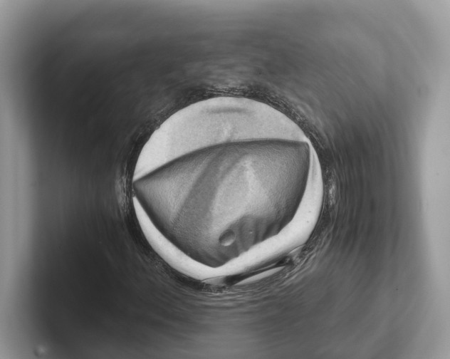 X0000100931156200807221131