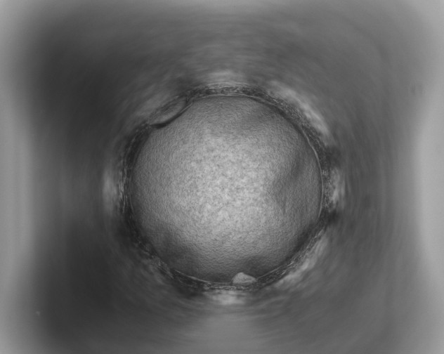 X0000100931157200807221131