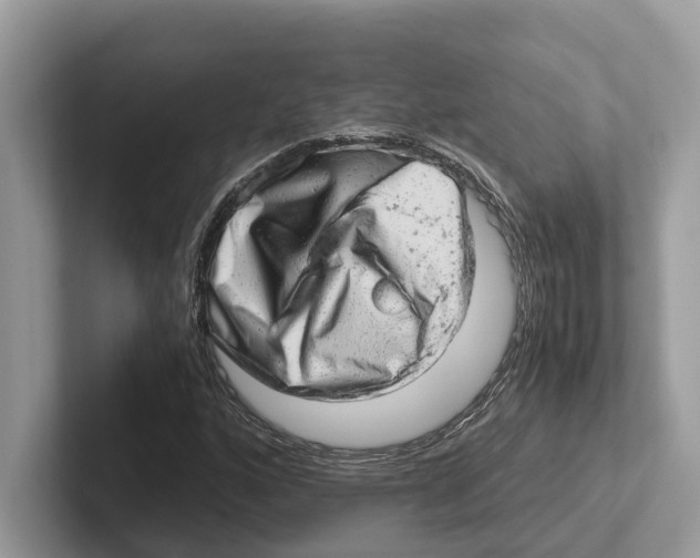 X0000100931160200807221131