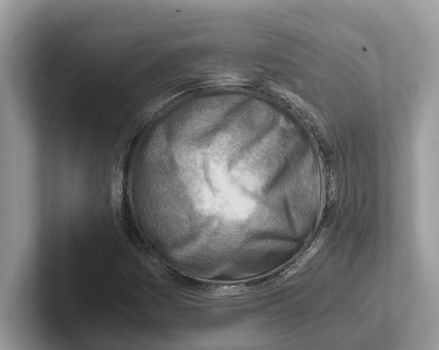 X0000100931161200807221131