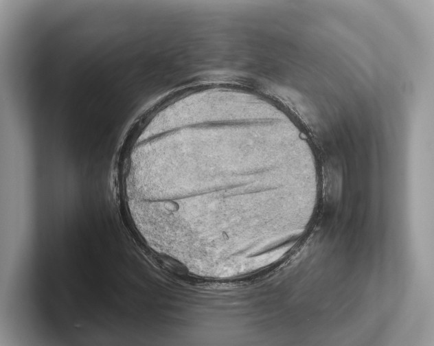 X0000100931164200807221131