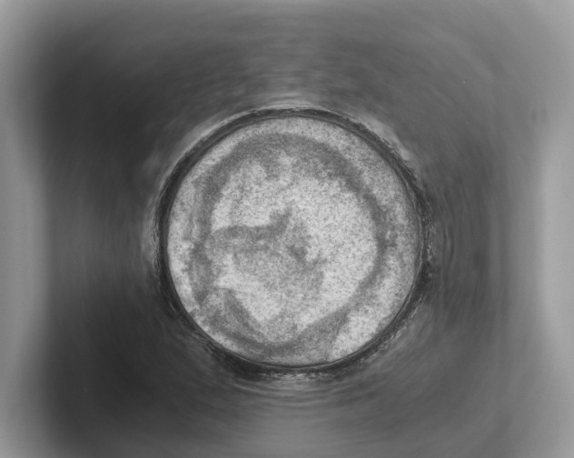 X0000100931167200807221131