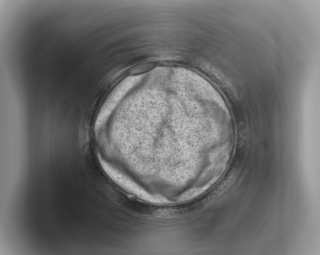 X0000100931169200807221131