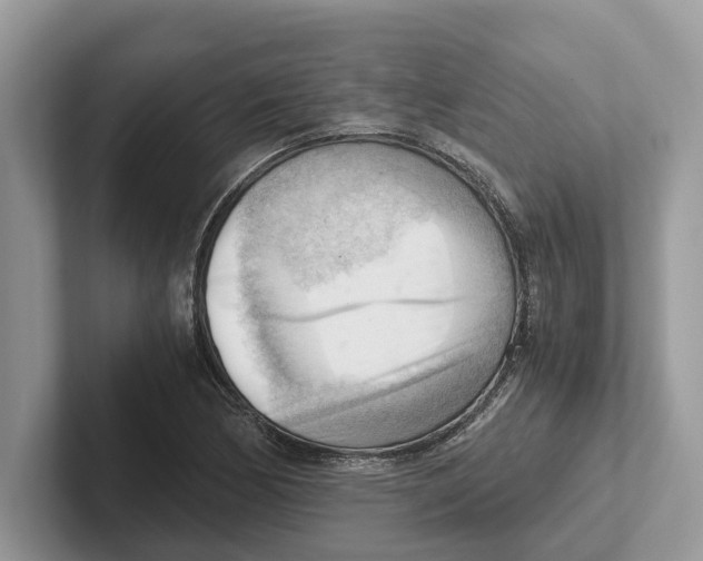 X0000100931170200807221131