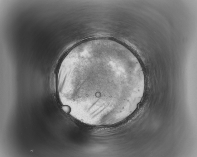 X0000100931171200807221131