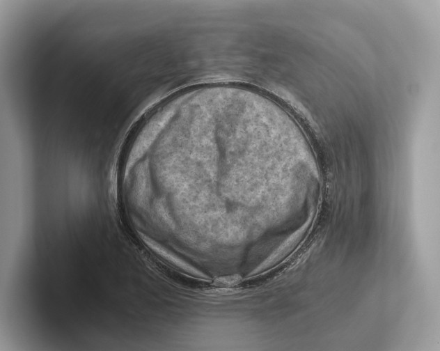 X0000100931173200807221131