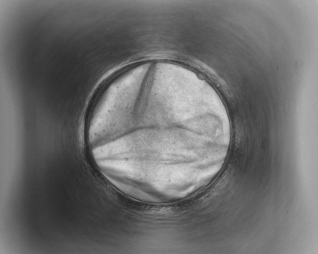 X0000100931174200807221131