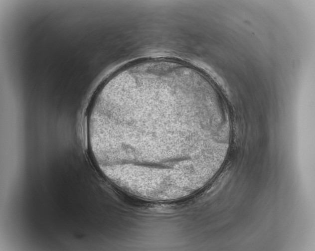 X0000100931175200807221131