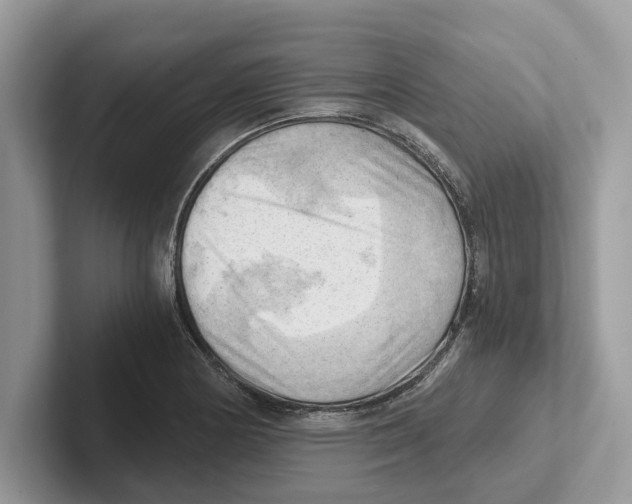 X0000100931178200807221131