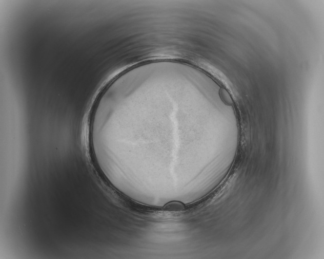 X0000100931179200807221131