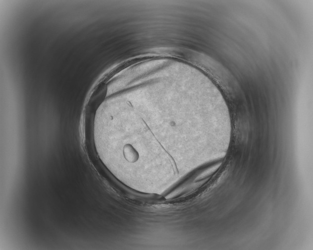 X0000100931180200807221131