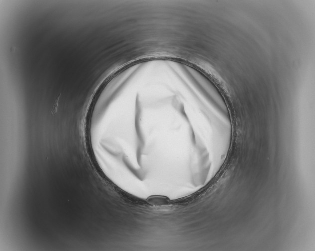 X0000100931181200807221131