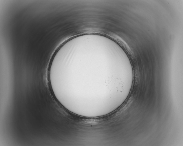 X0000100931182200807221131