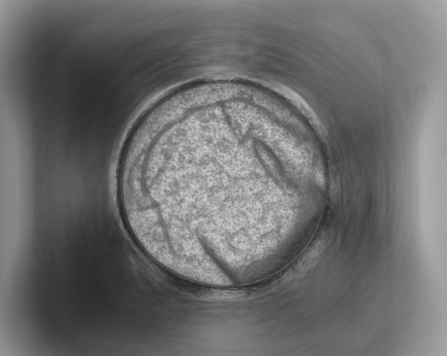 X0000100931183200807221131