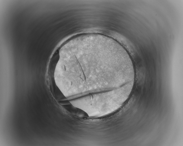 X0000100931184200807221131