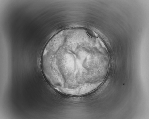 X0000100931185200807221130