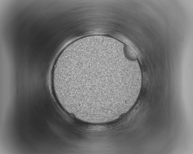 X0000100931187200807221130