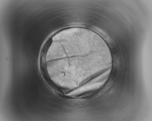 X0000100931188200807221130